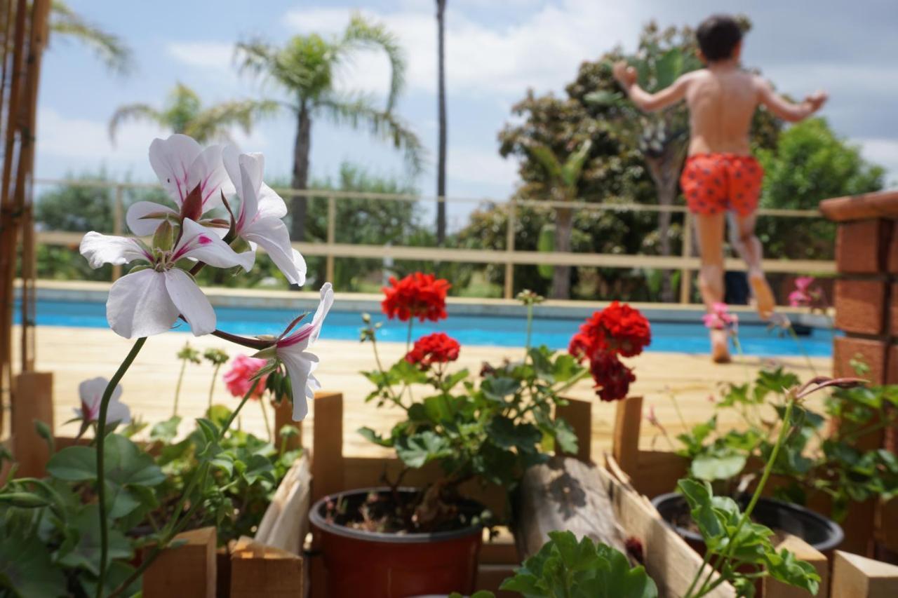 Villa Carolea アチレアーレ エクステリア 写真